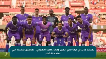 تصاعد جديد في أزمة نادي العين واتحاد الكرة الإماراتي.. تفاصيل متجددة حتى ساحة القضاء